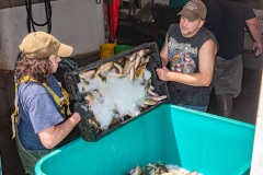 20130624_1129-31-GL-website