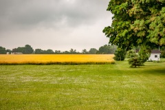 20130627_0905-7-GL-website